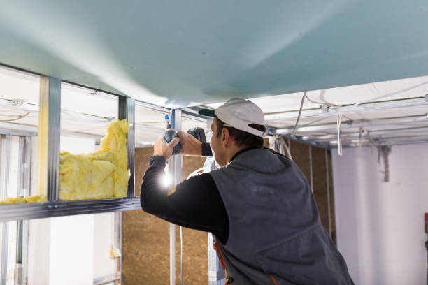 Eco-Friendly or Green Insulation Solutions in Gaylord, MI